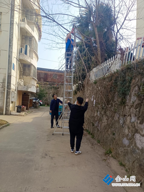 图片28