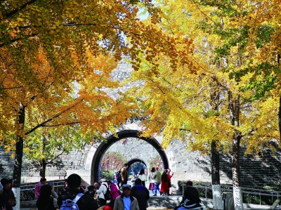 秋色里的南京汉西门城墙。