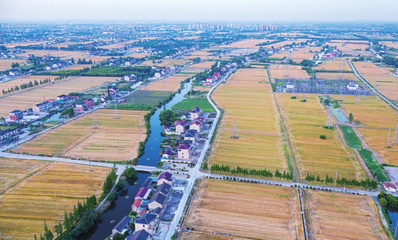 　　庆丰村一排排民宅临水而建，田园风貌非常好。　（庆丰村供图）