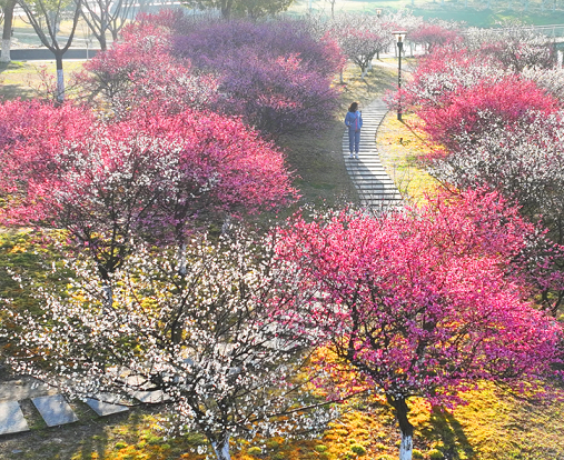 满园春色 美不胜收