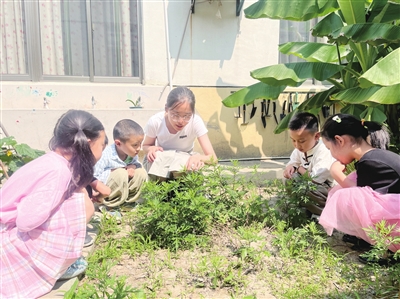 识艾草 制香包