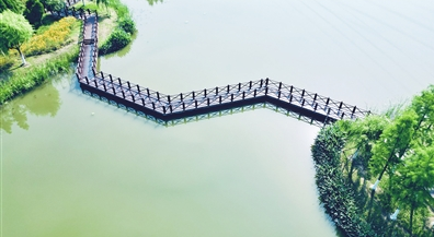 黄姑塘湿地公园木栈道焕新升级