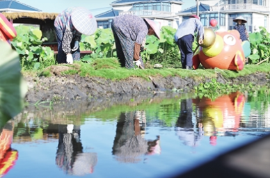 汗滴禾下土