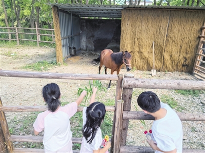 体验之旅